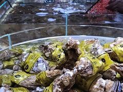 -聚盛源蒸汽海鲜火锅烤肉自助(巨川金海岸购物广场店)