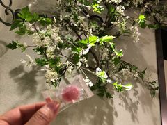 -春风·有糖(崇宁路店)