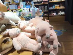-九木杂物社(新奥购物中心店)