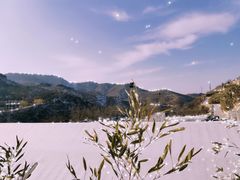 -九如山休闲旅游度假区
