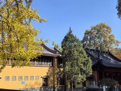 -灵谷景区