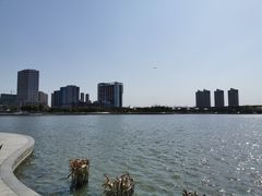 -映月湖中央公园