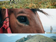 -灵山