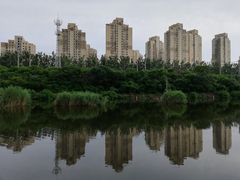 -前关湿地公园