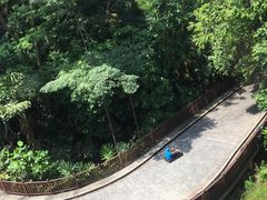 -圣淘沙天际线斜坡滑车