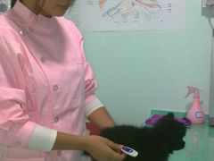 -瑞派·关忠动物医院·猫专科·犬专科(三环新城店)