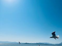 -深圳湾公园(南山区)