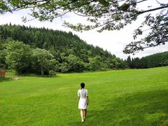 -武陵山森林公园