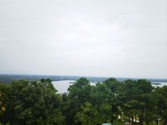 -大金山风景区