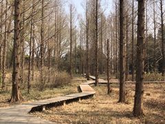 -国家植物园南园