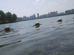 -天鹅湖体育公园