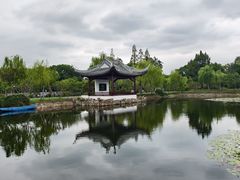 -无锡蠡湖国家湿地公园-蠡园