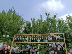 -祥源·阜阳生态乐园