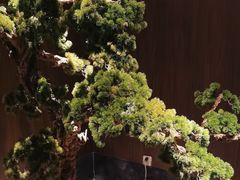 -喜湘宴·精致湖南菜(和平西桥店)