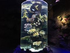 -南昌海洋公园