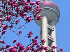 -东方明珠广播电视塔
