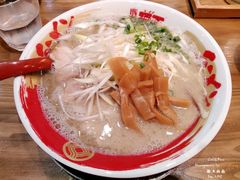 -豚王拉面(锦荣商业大厦店)