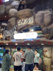 -卡通尼·Safari非洲探索乐园·生日会(金桥国际商业广场店)