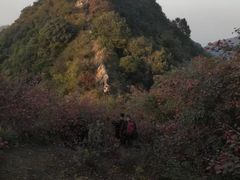 -终南山国家森林公园