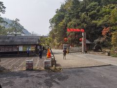 -石台牯牛降景区