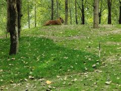 -北京野生动物园