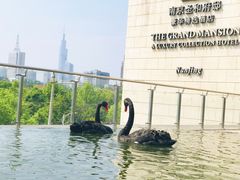 -行者书屋大堂吧 ·下午茶(南京圣和府邸酒店)