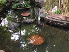 -新竹里馆·花园餐厅(兴苑路店)