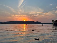 -西湖外事游船(湖滨二公园外事游船码头)