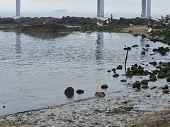 -黑石礁公园
