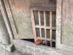 -乌石村