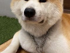 -YCHL Studios健身工作室(市二宫店)