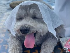 -安吉龙王山峡谷漂流