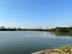 -海珠湖公园