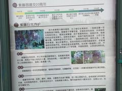 -嘉定紫藤园