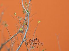 -深圳湾万象城(南山店)