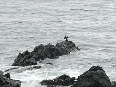 -龙头岩(Dragon Head Rock)