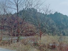 -寨沙侗寨(侗族歌堂)