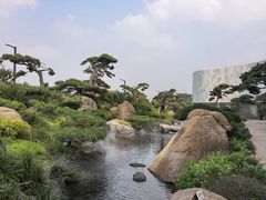 -罗红摄影艺术馆