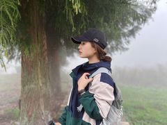 -武陵山森林公园