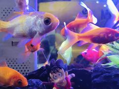 -三个大叔烤羊肉串·炭炉砂锅菜(西三旗店)