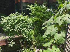 -大妙火锅·非物质文化遗产(东湖公园店)