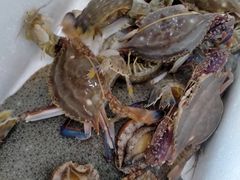 -海之味海鲜大咖·家常菜