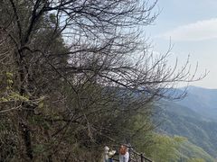 -四明山国家森林公园