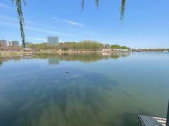 -大兴滨河森林公园