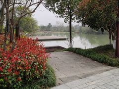 -西溪国家湿地公园