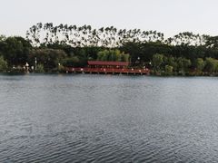 -琴亭湖公园