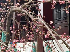 -香积寺