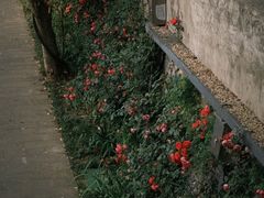 -老赵面店(大西路店)