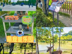 -王借岗森林公园