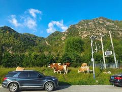 -五台山风景区